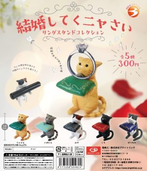 Kekkon Shite KunyasaiBlind Box Asst