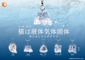Cats Are Liquid, Gas & Solid Marker Charm